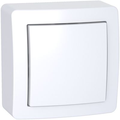 Obturateur boite derivation Schneider Electric ALREA avec domino
