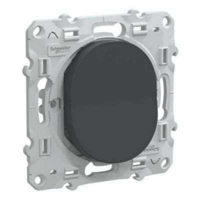 Mécanisme interrupteur va-et-vient Schneider Electric Ovalis anthracite