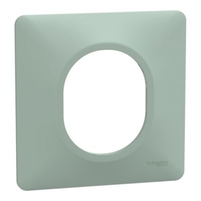 Plaque de finition simple Schneider Electric Ovalis sauge