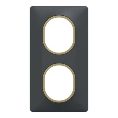 Plaque de finition 2 postes Schneider Electric Ovalis S340724E coloris avec liseré laiton .87 x P.10 x H.158 mm