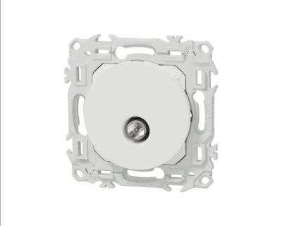 Prise TV coaxiale simple Schneider Odace