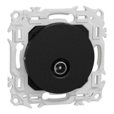 Prise TV coaxiale simple Schneider Odace
