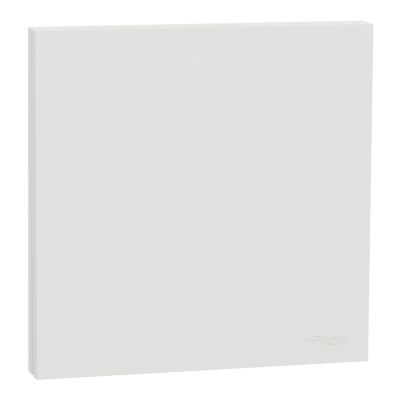 Interrupteur / poussoir simple avec plaque intégrale Odace