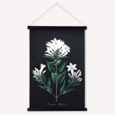 Kakemono Coutarea Pubescens 50 x 70 cm