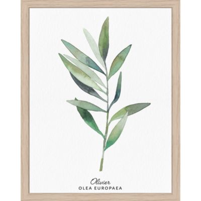 Image encadrée feuilles 24 x 30 cm Dada Art