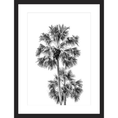 Image encadrée palmiers noir et blanc L.40 x l.30 cm cm Dada Art