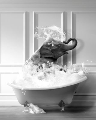Affiche éléphant baignoire Dada Art l.40 x H.50 cm