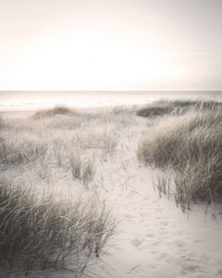 Affiche dunes Dada Art L.50 x l.40cm