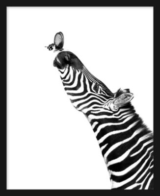Image encadrée zèbre noir, blanc Dada Art l.33 x H.53 cm