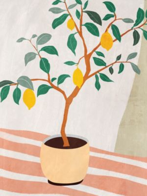 Affiche citronnier Dada Art l.30 x H.40 cm multicolore