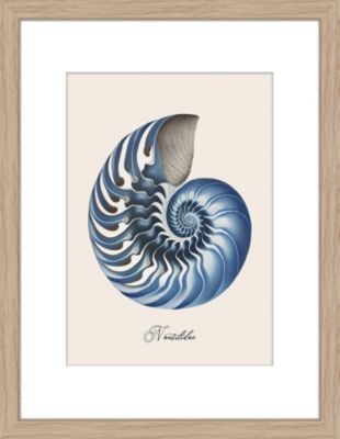 Image encadrée Shells cadre en bois 30x40 cm