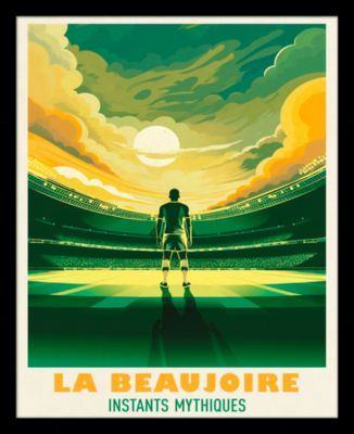 Image encadrée Beaujoire cadre noir 40x50 cm