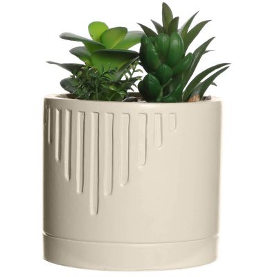 Plante grasse artificielle en pot Ornami l.10 x H. 19,5 cm blanc