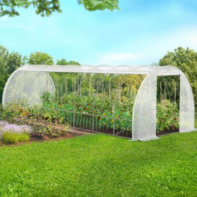 MARKET Serre jardin 4 SA - vue 8