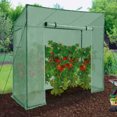 Serre de jardin, serre à tomates 200 x 78 x 169 cm acier + bâche anti-UV avec porte et 2 fenêtres toutes saisons verte