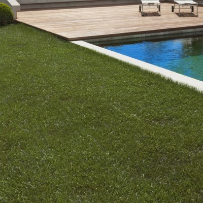 Gazon synthétique 1x10m 40 mm