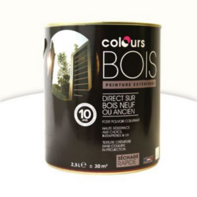 Peinture Bois Exterieur Colours Blanc Brillant 2 5l Castorama