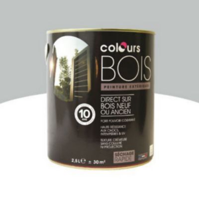 Peinture Bois Exterieur Colours Gris Aluminium Satin 2 5l Castorama