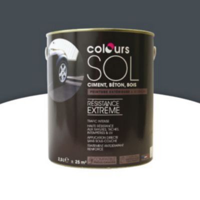 Peinture extérieure sol Colours Premium basalte satin 2,5L