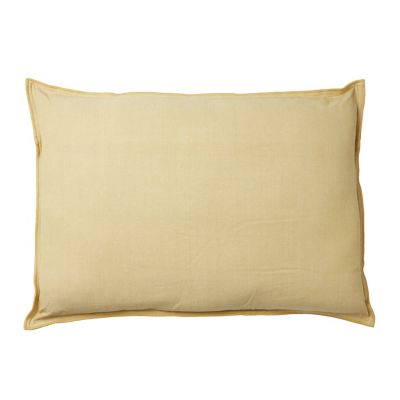 Coussin castorama