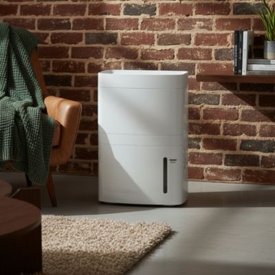 Déshumidificateur Blyss WDH 1920EA 25L / J - Blyss