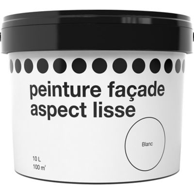 Peinture extérieure façade aspect lisse blanc 10L