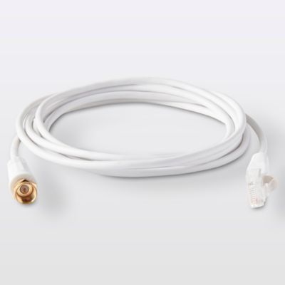 Câble RJ45 type F Mâle / Mâle blanc Blyss Or, 1.5 m