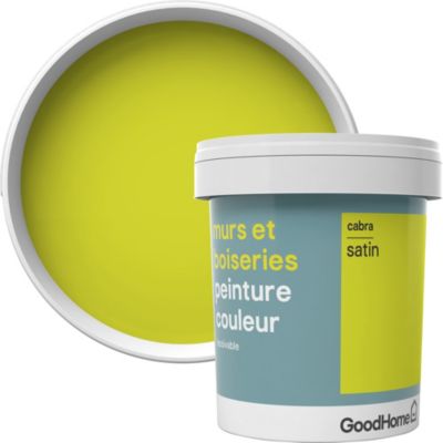 Peinture murs et boiseries GoodHome vert Cabra satin 0,75L