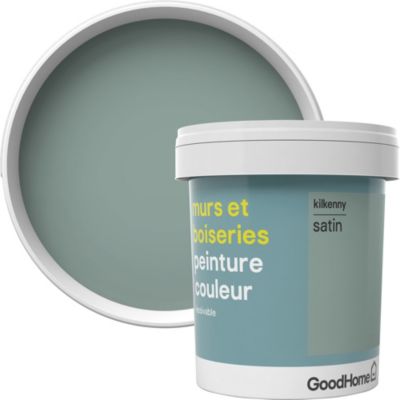 Peinture murs et boiseries GoodHome vert Kilkenny satin 0,75L