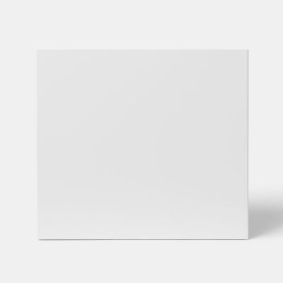 Façade de cuisine hotte / casserolier Stevia blanc brillant l. 40 cm GoodHome - Goodhome