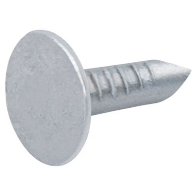Diall - Clous à tête plate en acier galvanisé 3x12 - 1kg