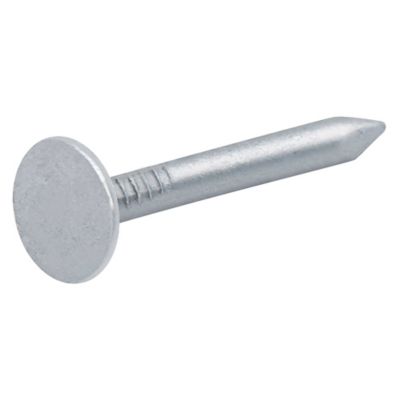 Clous à tête plate en acier galvanisé 3x30 - 1kg | Castorama