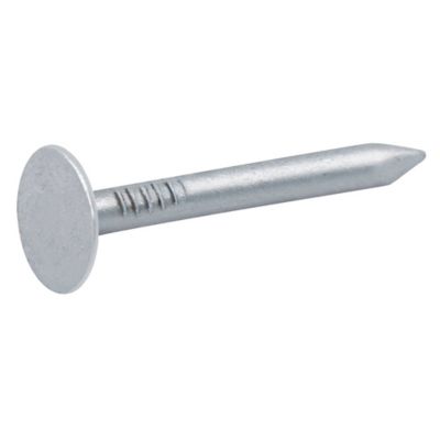 Diall - Clous à tête plate en acier galvanisé 3x30 - 2kg