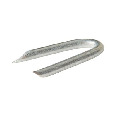 Diall - Crampillons en acier galvanisé 2,7x25 - 125g