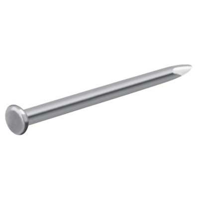 Diall - Clous à tête plate en acier galvanisé 1,5x20 - 125g
