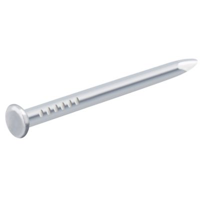 Diall - Clous à tête bombée en acier zingués 1,3x14 - 125g