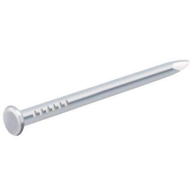 Diall - Clous à tête bombée en acier zingués 1,3x18 - 125g