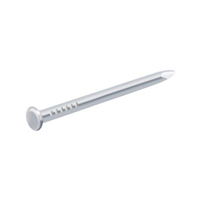 Diall - Clous à tête bombée en acier zingués 1,5x20 - 125g
