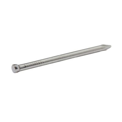 Diall - Clous à tête d'homme ronde en acier galvanisé 1,25x30 - 125g