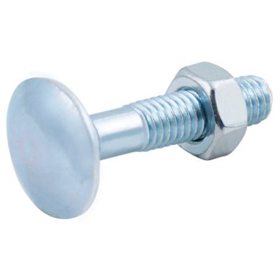 Diall - 10 boulons tête ronde collet carré 6 x 30 mm