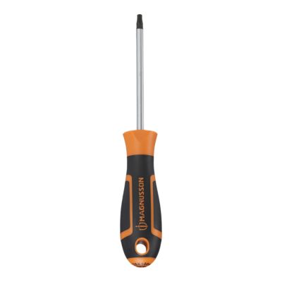 Tournevis tête Torx T25 Magnusson bout magnétique lame longueur 100 mm