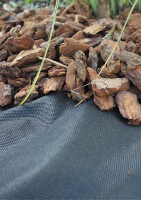 Toile de paillage 50g/m², rouleau de 1 x 10 m