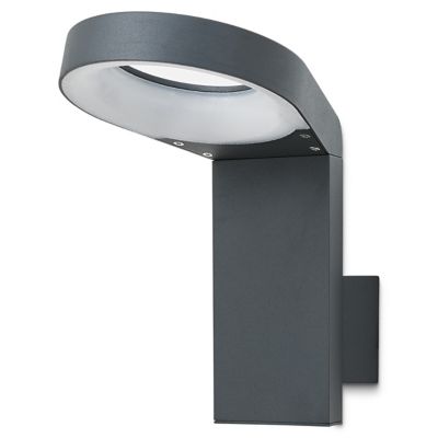 Applique murale extérieure LED Blooma Delson anthracite IP44