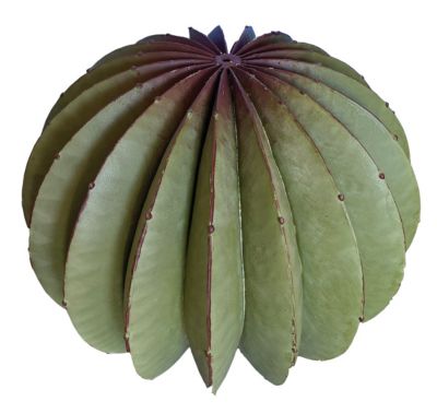 Cactus oursin métal vert et ocre Ø25 cm