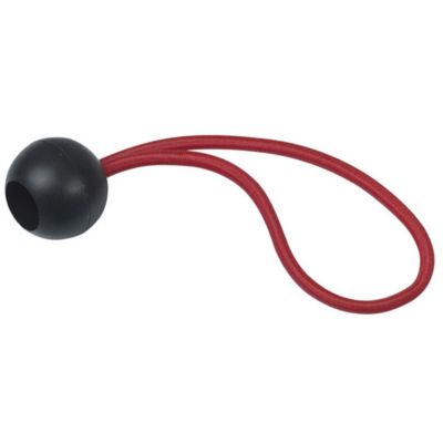 Lot de 10 attaches rapides élastiques pour bâche Ribiland PRBCEARX10