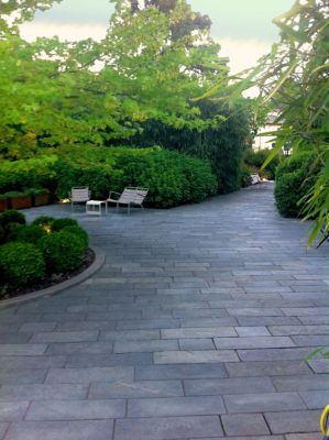 Dalle luzerne gris vert 60 x 30 x 2/4 cm