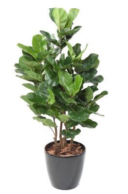 Lyrata royal buisson artificiel