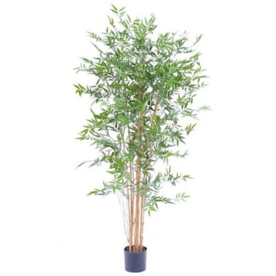 Bambou Japanese artificiel h.180 cm