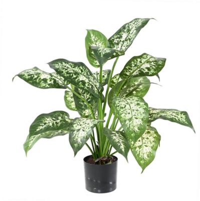 Pot Dieffenbachia artificiel