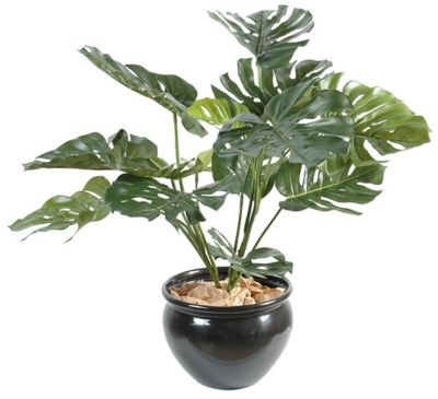 Philo géant artificiel 15